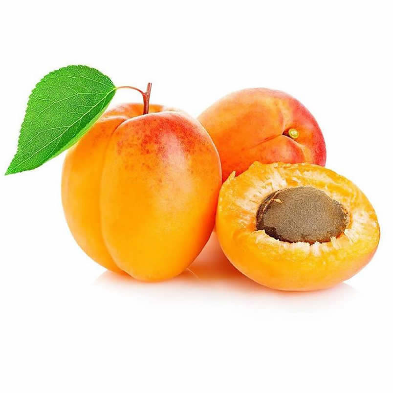 kayisi